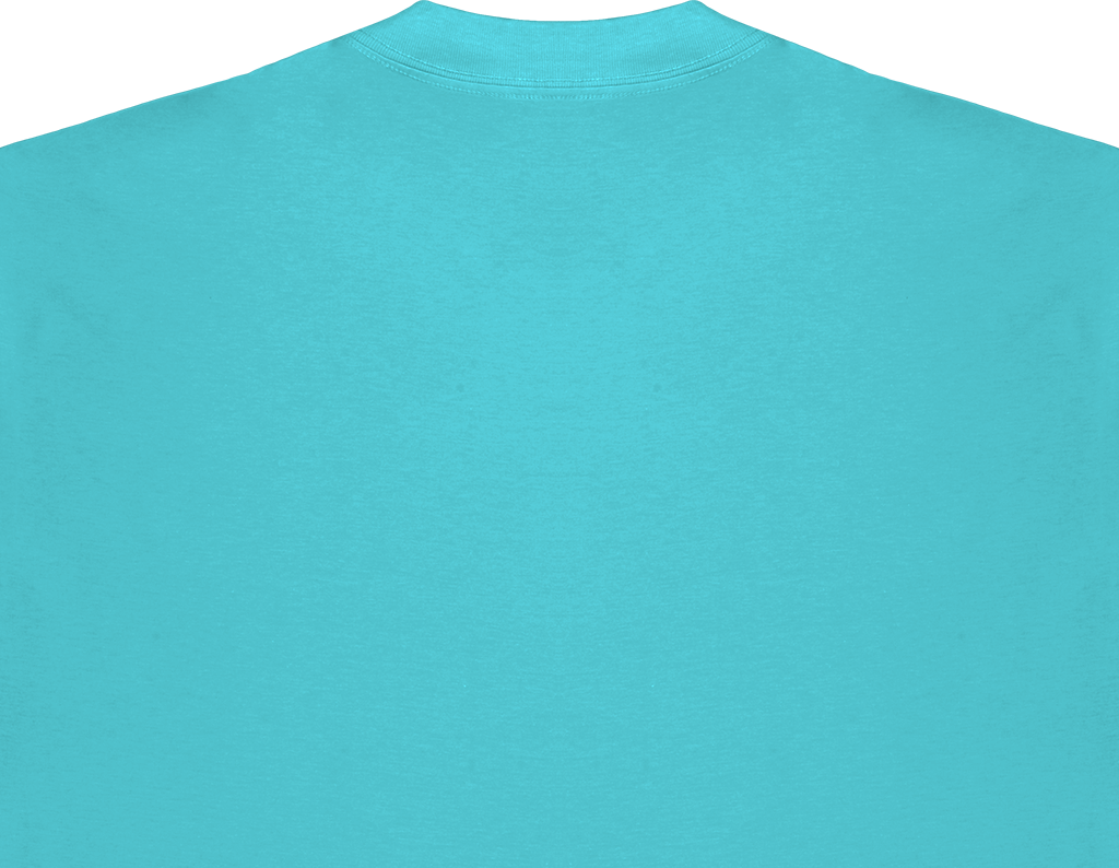 REGULAR FIT TEE
