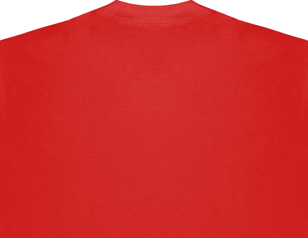 REGULAR FIT TEE