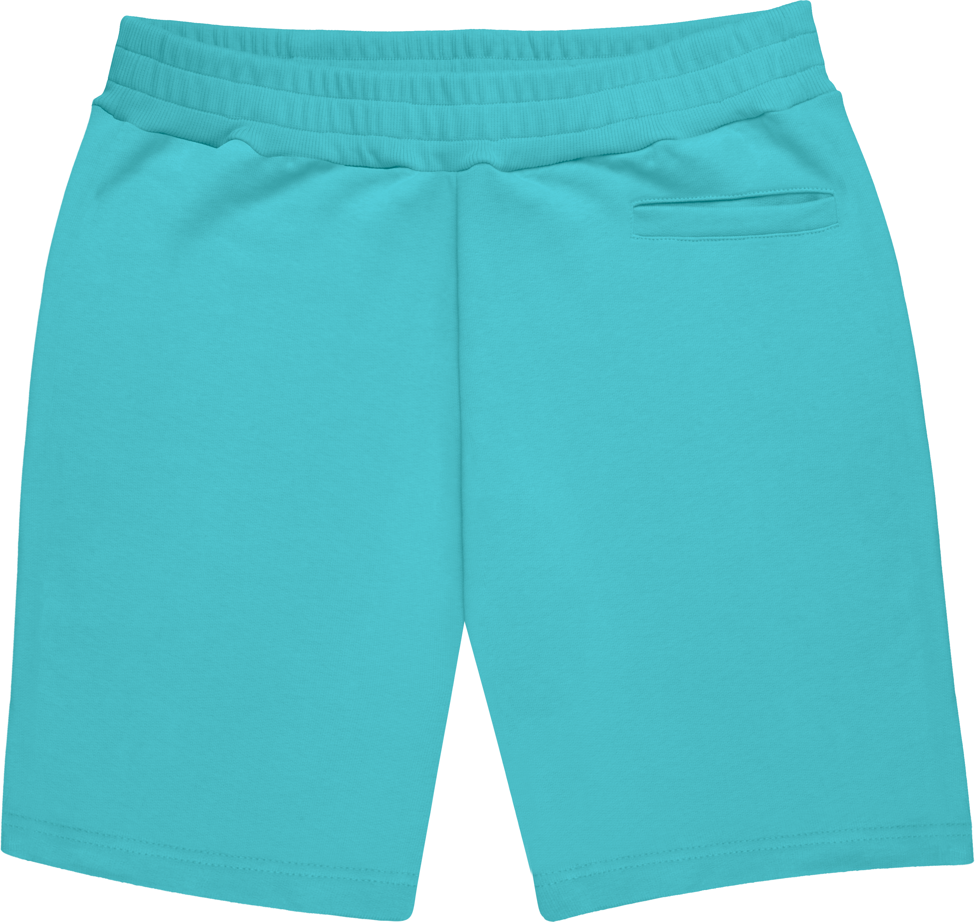 HEAVY SWEAT SHORTS