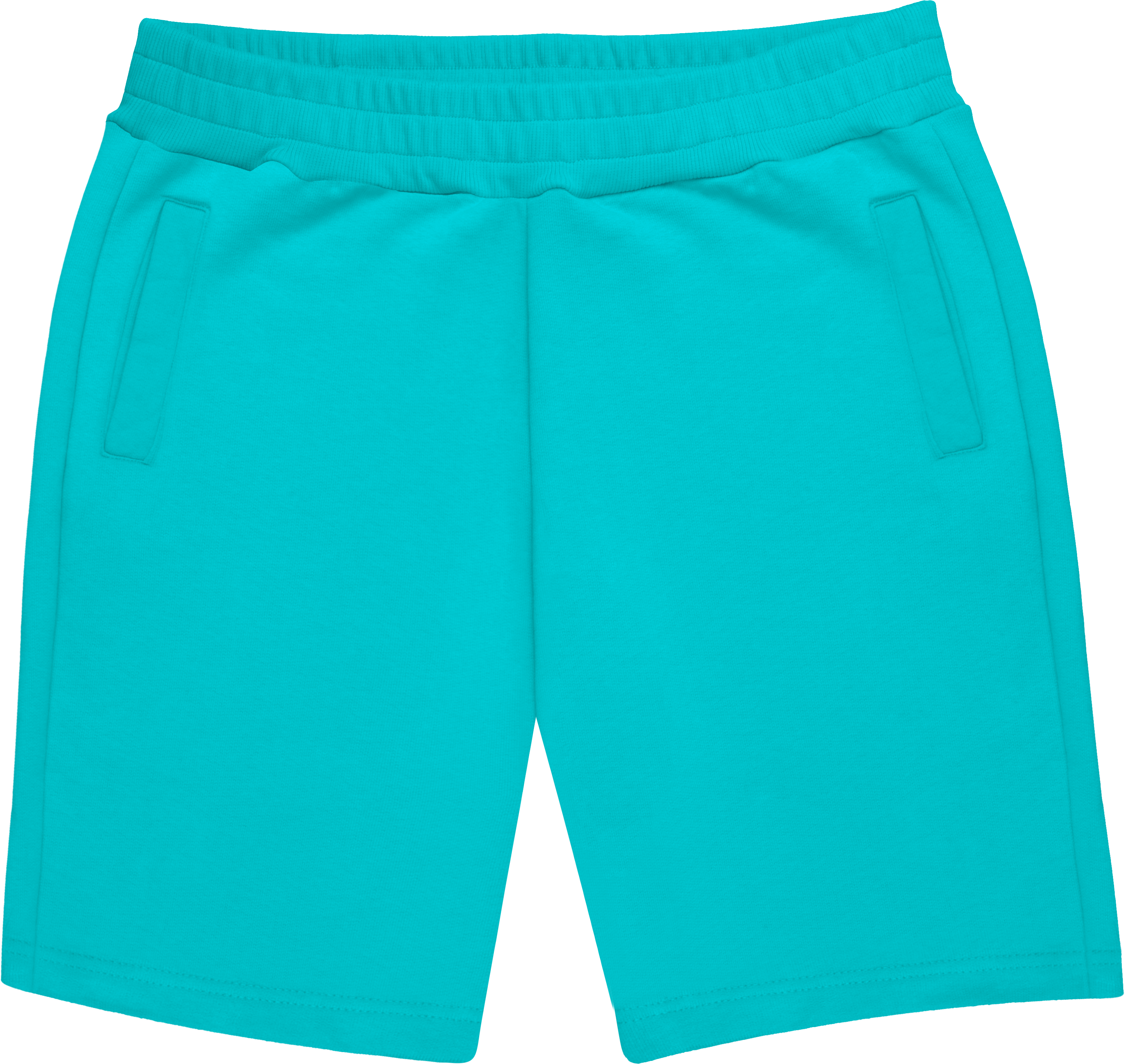 HEAVY SWEAT SHORTS