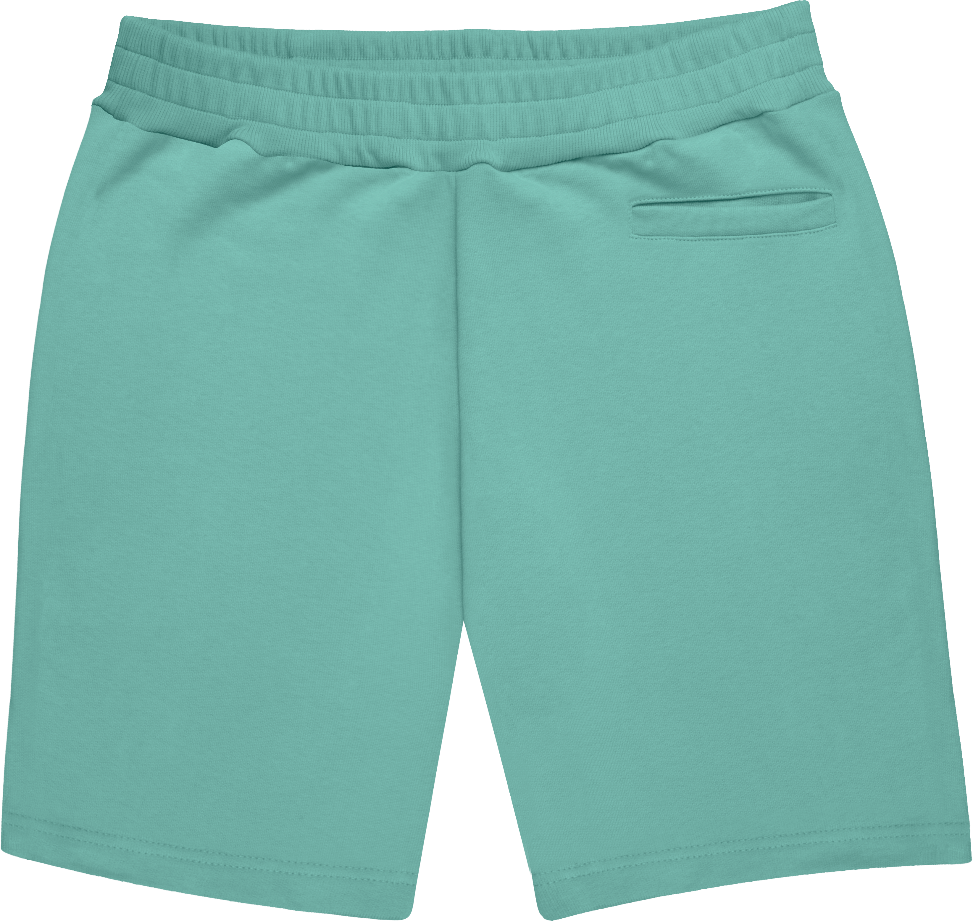 HEAVY SWEAT SHORTS
